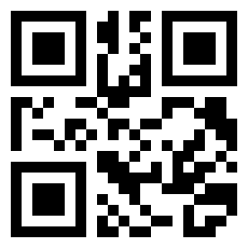 Number 256541 QR code