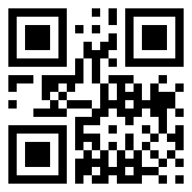 Number 27110304 QR code