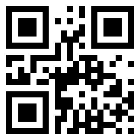 Number 28313041 QR code