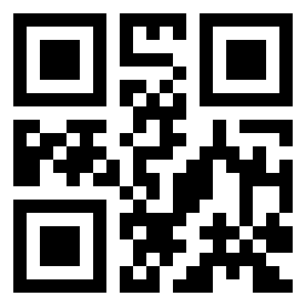 Number 289743 QR code