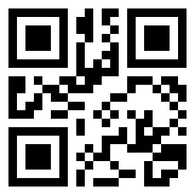 Number 294009 QR code