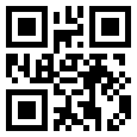 Number 30040436 QR code