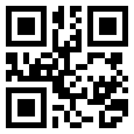 Number 300514 QR code