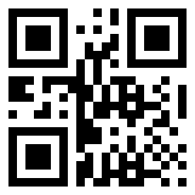 Number 3070028 QR code