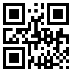 Number 30958096 QR code