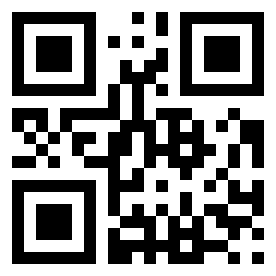 Number 31017631 QR code