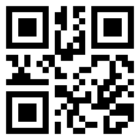 Number 310255 QR code