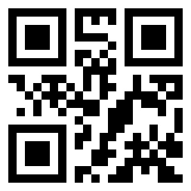 Number 333034 QR code