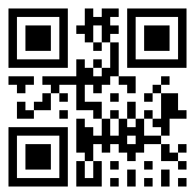 Number 333050 QR code