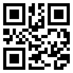 Number 338193 QR code