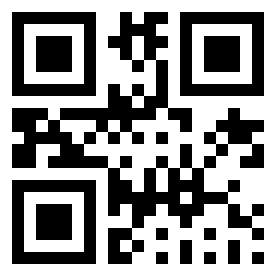 Number 382521 QR code