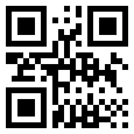 Number 4009999 QR code