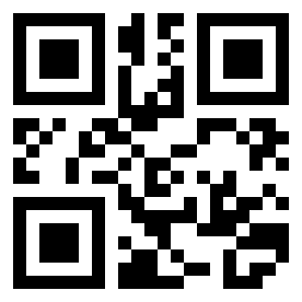 Number 410041 QR code