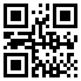 Number 4510333 QR code