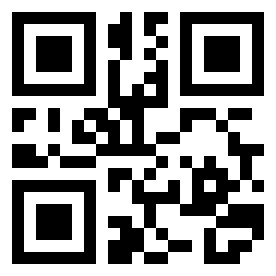 Number 461040 QR code