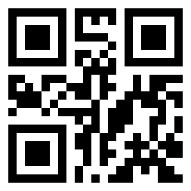 Number 495289 QR code