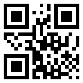 Number 49920032 QR code