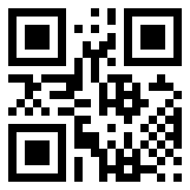 Number 51265600 QR code