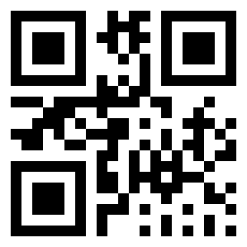 Number 513076 QR code