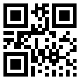 Number 513089 QR code