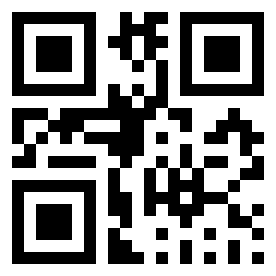 Number 516733 QR code