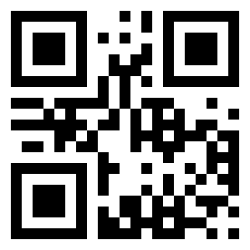 Number 55532305 QR code