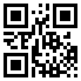 Number 60170316 QR code