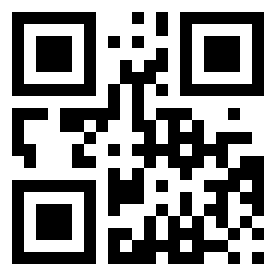 Number 60533538 QR code