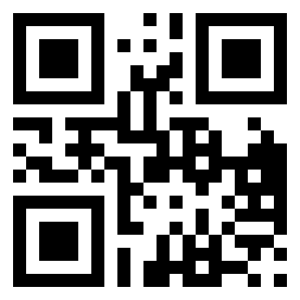 Number 61230221 QR code