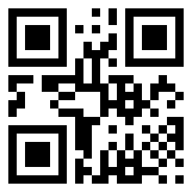 Number 64073300 QR code