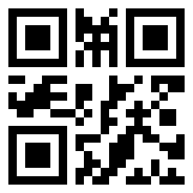 Number 64096033 QR code