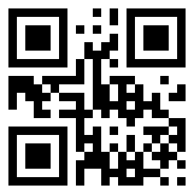 Number 66345333 QR code