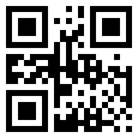 Number 80138304 QR code