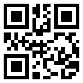 Number 869521 QR code