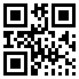 Number 891633 QR code