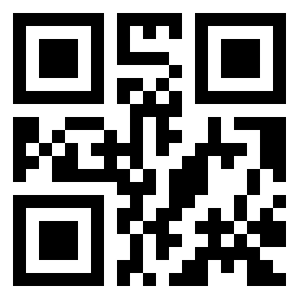 Number 892528 QR code