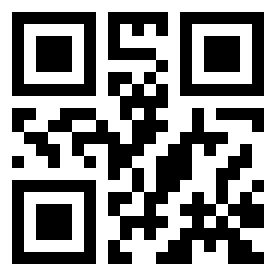 Number 913529 QR code