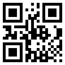 Number 99840064 QR code