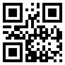 Номер 10021377 QR-код