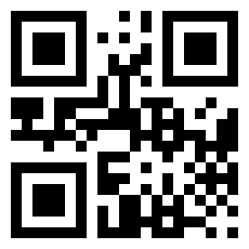 Номер 10313216 QR-код