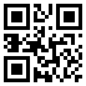 Номер 1202049 QR-код