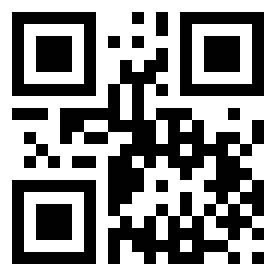 Номер 13132633 QR-код