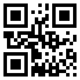 Номер 13133130 QR-код