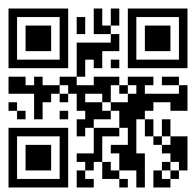 Номер 13133132 QR-код