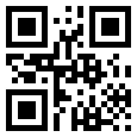 Номер 17705616 QR-код