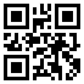 Номер 20040000 QR-код