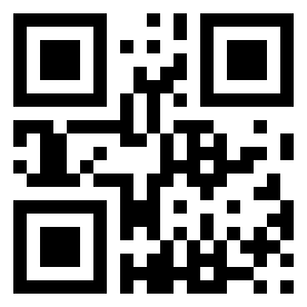 Номер 21133173 QR-код