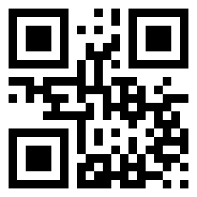 Номер 21304623 QR-код