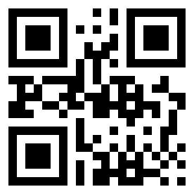 Номер 2456533 QR-код