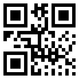 Номер 251024 QR-код